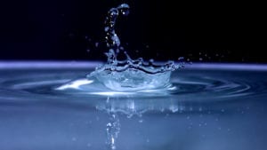 Las biopelículas impactan en la calidad del agua