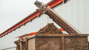 Gallinaza para cría de larvas que nutrirían ponedoras