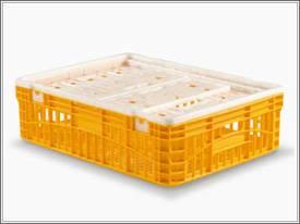 LINPAC Pisani jaula de transporte de pollos pequeños