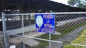 Brotes de enfermedades humanas y avícolas