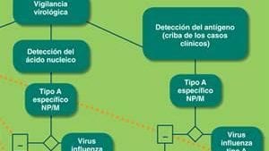 Medidas epidemiológicas aplicadas al control de la influenza aviar