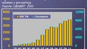 Brasil: su avicultura y sus pilares