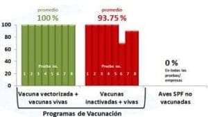 Control y prevención de la enfermedad de Newcastle en países latinoamericanos