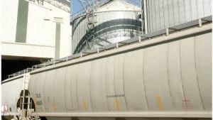 Transporte ferroviario en la industria de alimentos balanceados