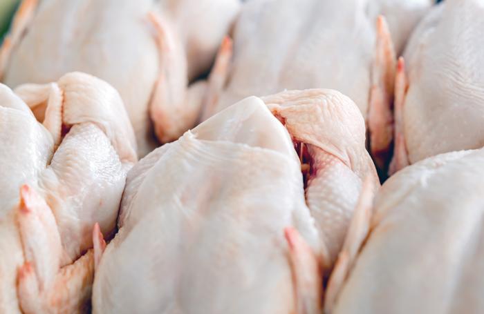 Caen en 27 por ciento las exportaciones uruguayas de pollo