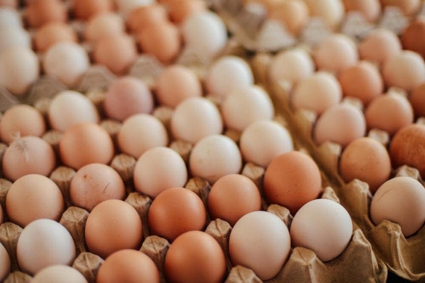 Argentina baja producción a 31 millones de huevos día