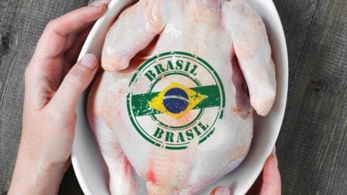 Más exportaciones avícolas y porcinas de Brasil a China