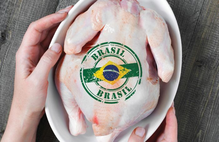 Brasil exporta 4.1 millones de toneladas de pollo en 2018