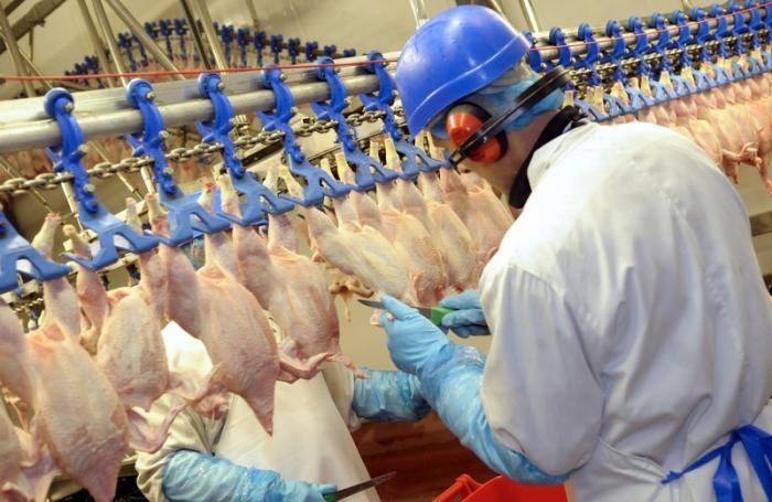 Restos de pollo para fabricar lubricante biodegradable