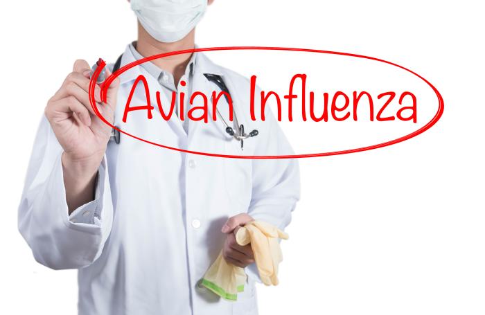 Focos de influenza aviar notificados y resueltos en México