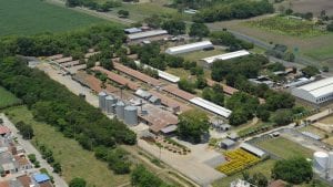 Avícola Santa Rita podría generar 1.8 MWh con gallinaza