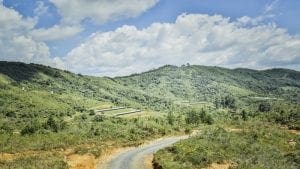 Huevos Kikes logra certificación forestal en Colombia