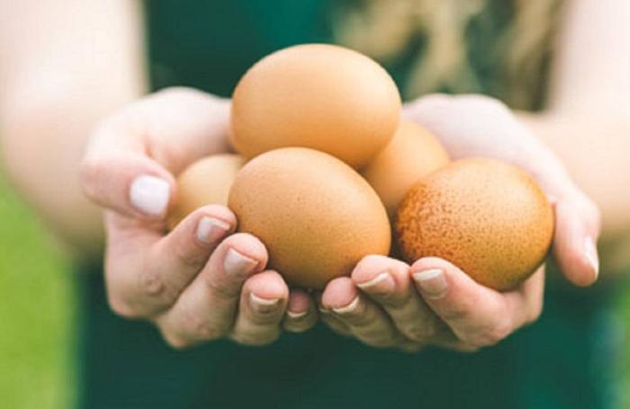 Nestlé anuncia que se abastecerá de huevo libre de jaulas