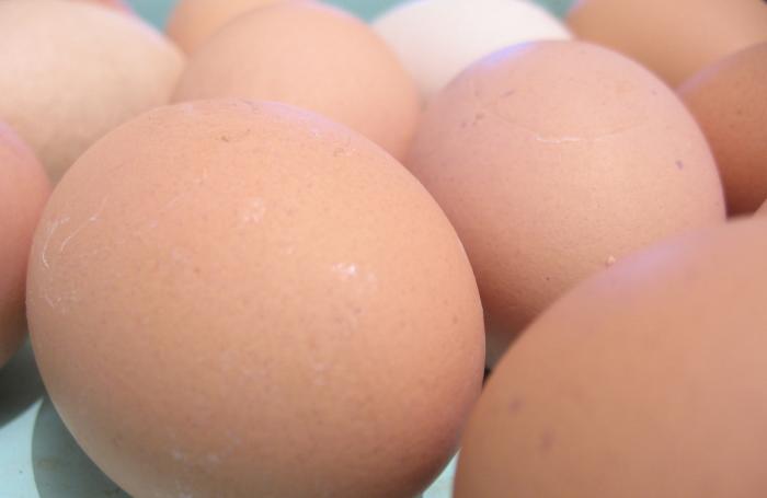 Colombia: 3,700 millones de huevos en primer trimestre