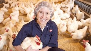 Cobb presenta nuevas guías de reproductoras y pollo