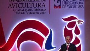 Congreso avícola centroamericano se aplaza para 2021