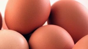 Brasil exportará huevos libres de patógenos a México