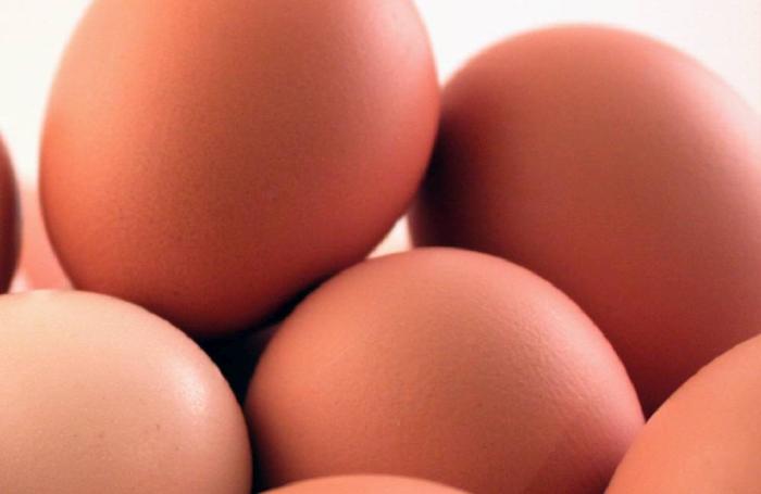 Brasil exportará huevos libres de patógenos a México