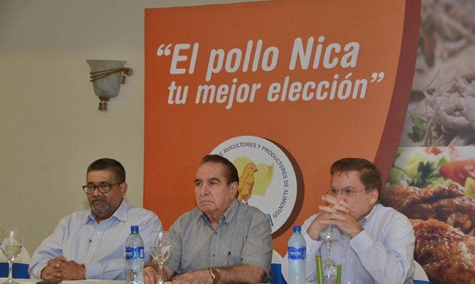 Avícolas nicaragüenses añoran consumo panameño de pollo