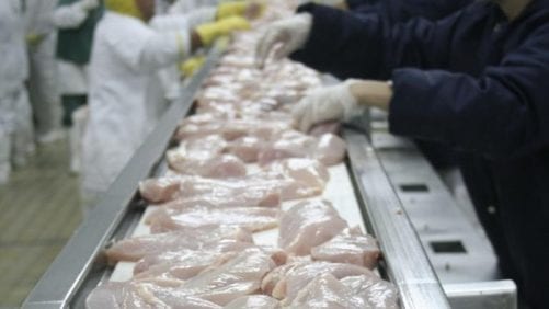 Brasil: siguen creciendo exportaciones de pollo y cerdo