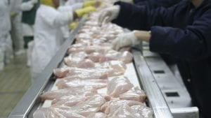 No deja de crecer apetito asiático por pollo brasileño