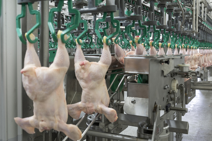 Sobreoferta y caída de precio del pollo en Perú