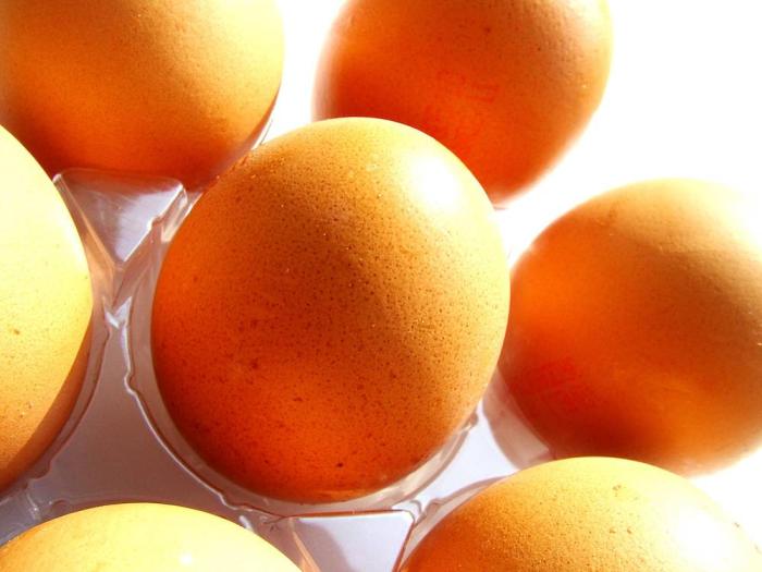 Desde enero, huevos vendrán con sello en Nicaragua