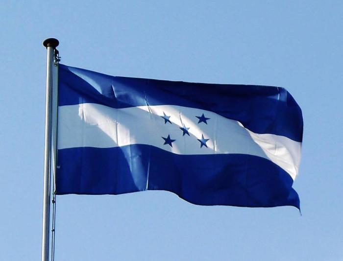 Honduras, a un paso de exportar pollo a Estados Unidos