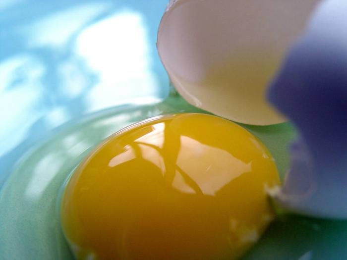 Huevo y pollo tendrían IVA de 5 por ciento en Colombia