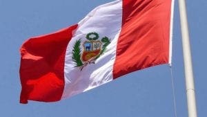 Avanza producción avícola en departamento peruano de Junín