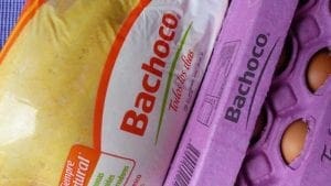 Ventas en EEUU dispararon ingresos de Bachoco