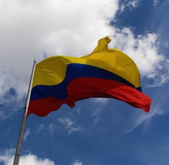 Avalúan en US$4,550 millones sector avícola colombiano