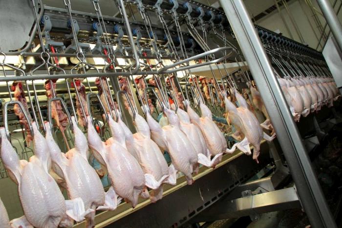 Autorizan plantas de BRF de pollo y cerdo para exportar a China