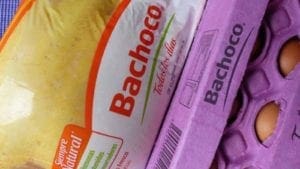 Bachoco: financieramente sólida, pero con menos ventas