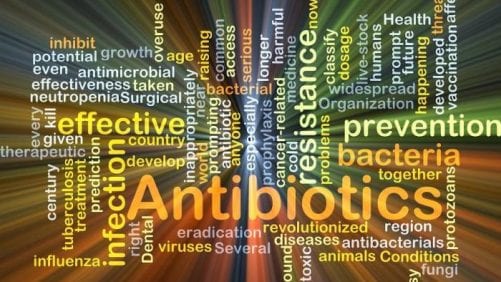 Urge más investigación sobre antibióticos en producción animal