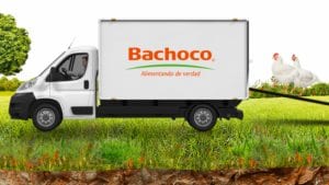 Ventas de Bachoco aumentan un 5.2 por ciento en 2018