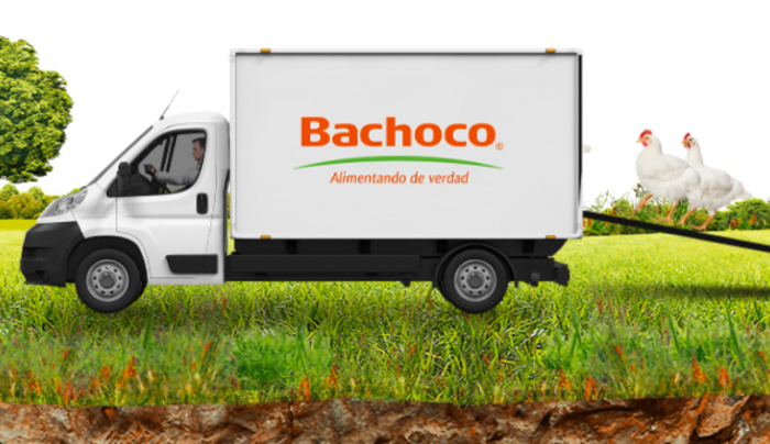 Bachoco profundiza inversiones avícolas en Yucatán