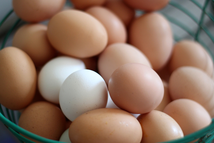 Sobreproducción de huevo afecta avicultura ecuatoriana