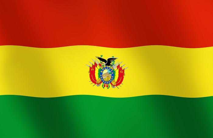 Dos zonas bolivianas estarían ya libres de Newcastle