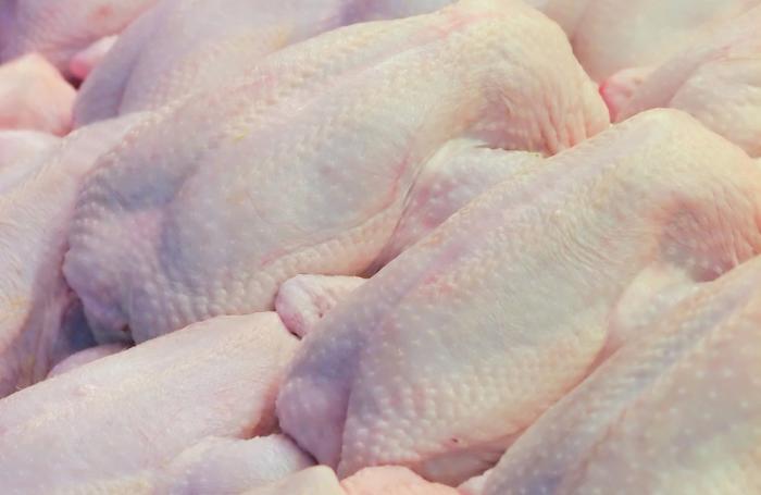 Argentina podría producir pollo procesado “larga vida”