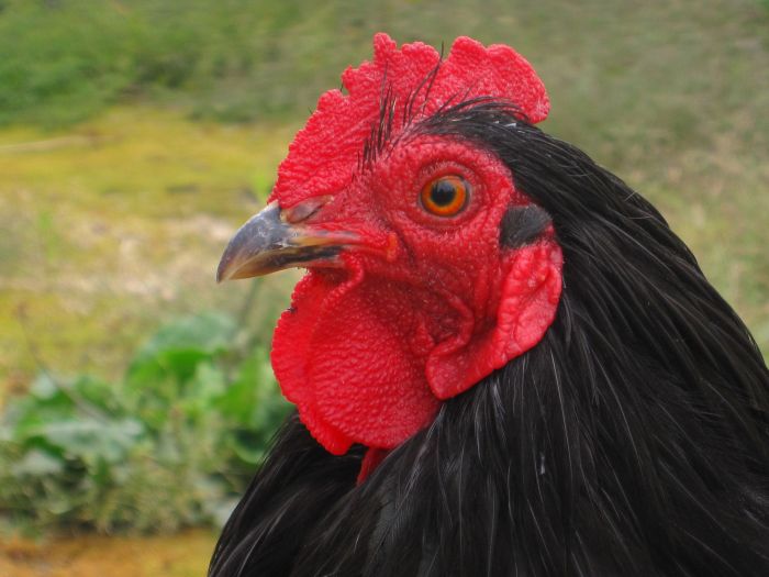 Jefo invierte en instalaciones de nutrición animal