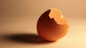 Cáscara de huevo serviría para elaborar biocombustibles