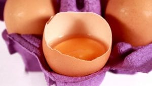 Uso de malezas en nutrición de ponedoras mejoraría calidad de huevo