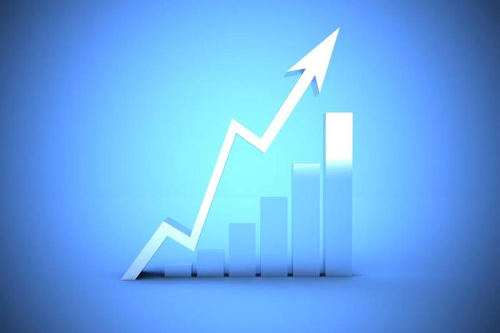 Producción avícola continuará en aumento hacia 2027