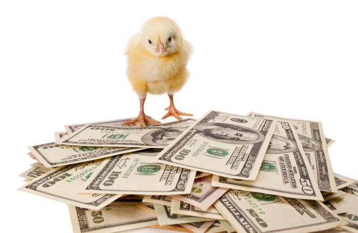 ¿Se agudizará la crisis en los precios del pollo?