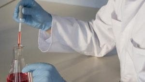 Carne in vitro, ¿suficientemente buena para activistas?