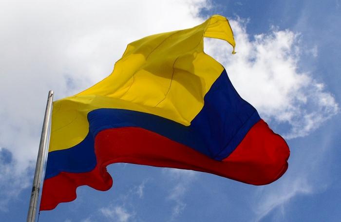 Colombia sí exporta soya, pero en semilla