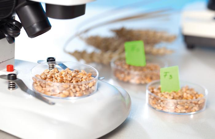Biotecnología de semillas: impacto en la producción animal