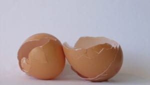 Ovosur desarrolla sales de calcio como ovoproducto