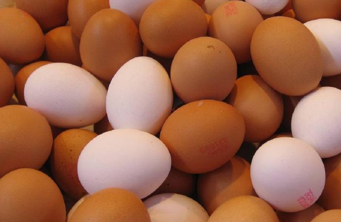 Nicaragua avanza hacia su meta de producción de huevo en 2016